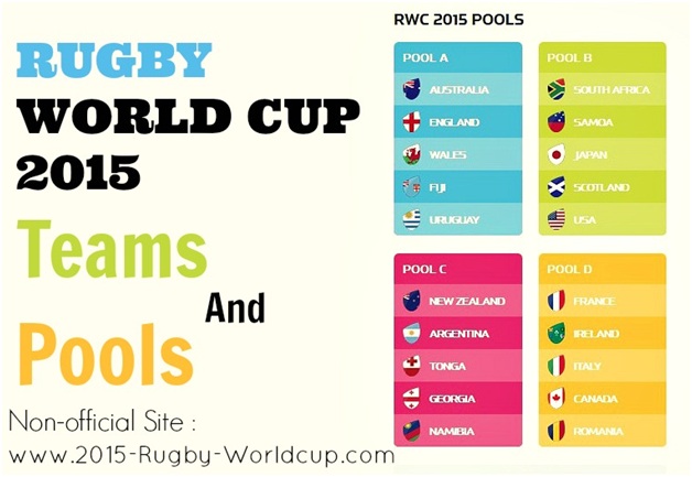 Review of the top 5 Teams from the last Rugby World Cup